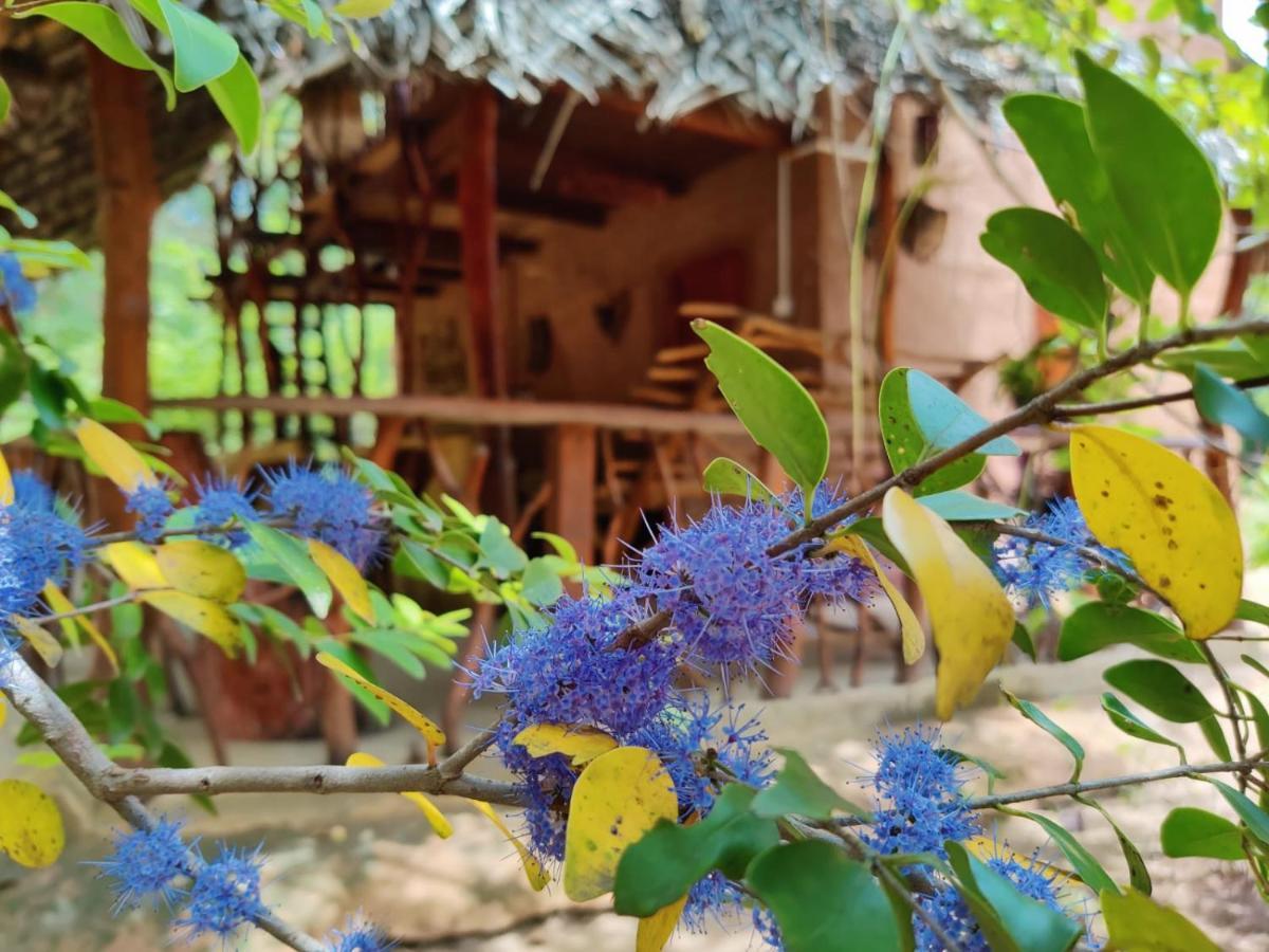 Relax Nature Villa Sigiriya Exteriör bild