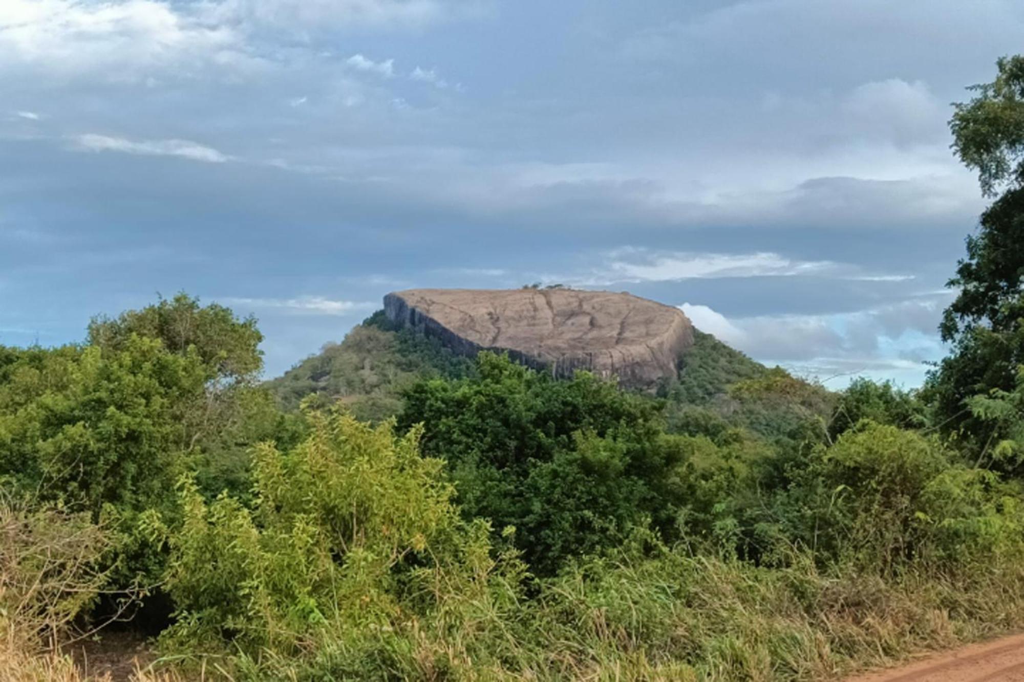 Relax Nature Villa Sigiriya Exteriör bild